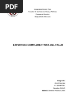 Ensayo Sobre La Experticia Complementaria Del Fallo