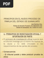 Principios Del Juicio Familiar en Guanajuato