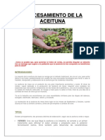 Procesamiento de Aceituna - Proyecto Hecho