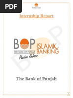 Internship Report: The Bank of Punjab