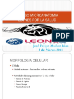 Repaso Histologia Leones Por La Salud PDF