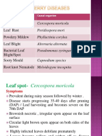 Cercospora Moricola Peridiospora Mori Phyllactinia Corylea Alternaria Alternata Pseudomonas Syringae Pv. Mori