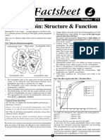 Bio Factsheet: Haemoglobin: Structure & Function