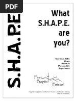 What S.H.A.P.E. Are You?: Spiritual Gifts Heart Abilities Personality Experience