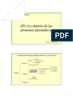 4 Sintesis Proteinas Plasmaticas