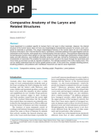 Comparative Anatomy of The Larynx and Related Structures