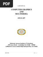 Computer Graphics AND Multimedia: ETCS 257