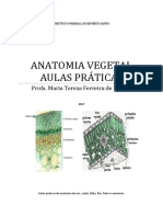 Aula Prática - Anatomia Vegetal - Aluno