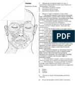 Questionário Anatomia Músculos