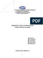 Lineamientostegunesr PDF