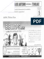 Klein - La Importancia de La Formacion de Simbolos en El Desarrollo Del Yo (Practico) PDF