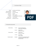 Curriculum Vitae Mixto Simple 2