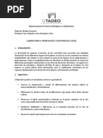 4 - Guía de Laboratorio 4 Morfología y Anatomía de Raíz