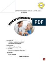 Perfil de Enfermería en Geriatría