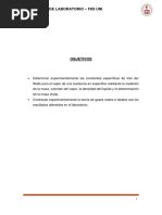 Fico Informe 02