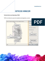 CO FL 3.9 Guía Diagnósticos Wincor PDF