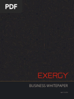 Exergy BIZWhitepaper v10