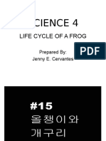 Science 4: Life Cycle of A Frog