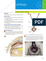 Vaginal Cytology