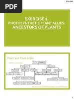 Photosynthetic Plant Allies