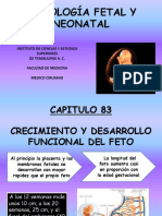 Fisio Log A Fetal y Neonatal