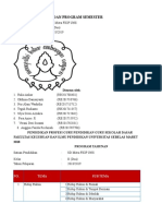 Prota Promes Kelas Ii PPG PGSD 2018