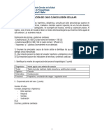 Resolución Caso Lesión Celular PDF