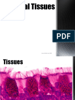 Animal Tissues PDF