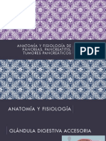 Anatomía y Fisiología de Páncreas, Pancreatitis Aguda y Crónica y Neoplasias Pancreáticas