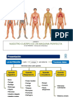 Udi 3 La Nurición ... Aparato Digestivo, Respiaratorio, Circulatorio y Excretor Web