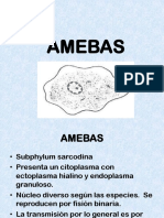 Amebas