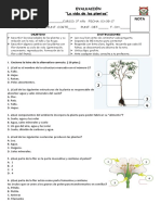 Eva. de Las Plantas