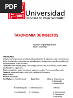 Taxonomia Insectos