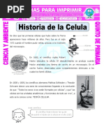 El Científico Robert Brawn Fue Quien Descubrió El Núcleo de La Célula en El Año 1665. Nota Científica