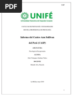 Informe Ansullivan