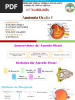 Oftalmología Anatomia Ocular 1