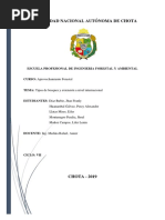 Tipos de Bosques y Su Extension A Nivel Internacional