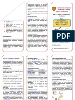 Triptico Ingenieria Genetica2