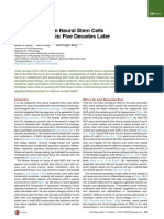 Adult Mammalian Neural Stem Cells and Neurogenesis Five de 2015 Cell Stem C