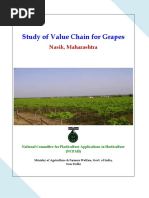 7-Value Chain For Grapes Crop in Nasik District of Maharashtra