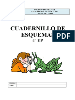 Esquemas 4 de Primaria