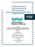 Cuidados de Enfermeria Centrados en El Neurodesarrollo Del Recien Nacido