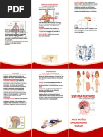Sistema Nervioso