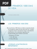 Los Primeros 1000 Dias de Vida