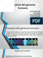 Proyecto Del Genoma Humano