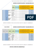 Matriz de Aspectos e Impactos Ambientales Ejemplo