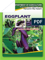 Eggplant PDF