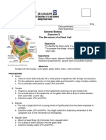 Activity 3 Structure of A Plant Cell