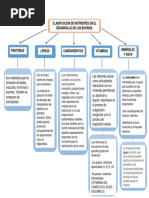 Mapa Conceptual Nutrientes