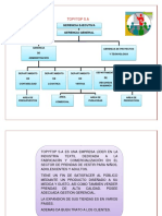 Organigrama Topitop